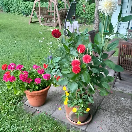Huoneisto 2
